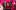 PBJ Live present Nina Conti Four people cut out and pasted together in a montage against a bright pink background.